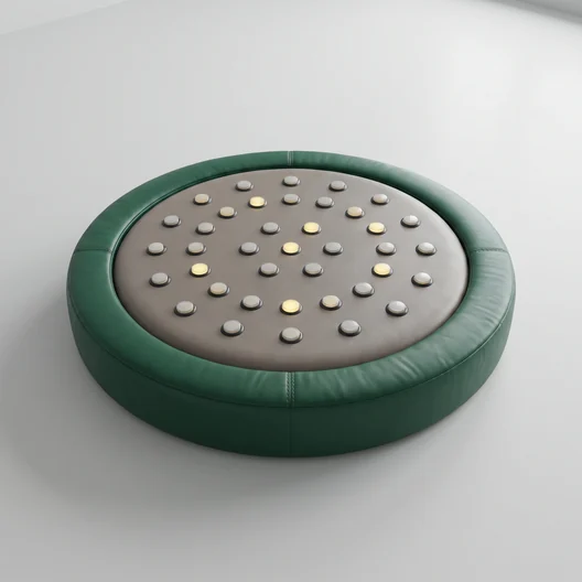 SP-17 electronic interactive panel