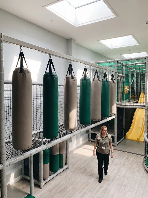Punch bags hung across a route